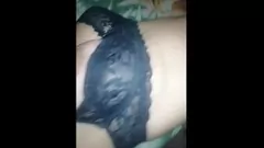 play لاتينا في سن المراهقة تحصل على المتعة من الاستمناء المليء بالديك مع النهاية دسم